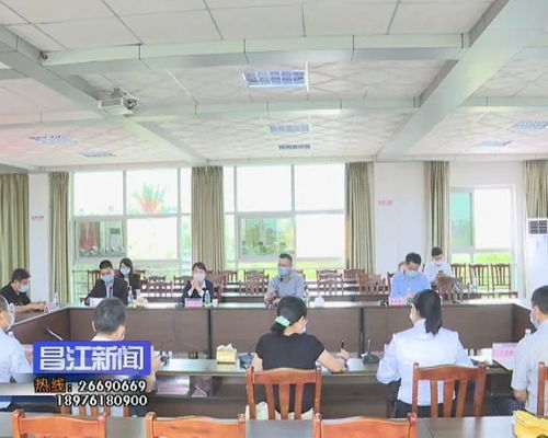 昌江电子商务发展迎来新契机 省商务厅电商处专题调研，聚焦信息咨询服务升级