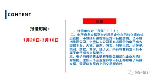 信息化与电子商务应用情况填报指南 聚焦电子商务信息咨询